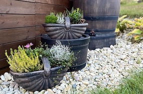 Zazimování zahrady. Jak připravit zahradu na zimu, aby jste na jaře měli méně starostí.