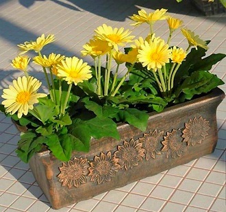 Roto PLANIKA L - bronzově hnědá