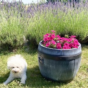 Roto soudek BOLERO L, imitace šedého dřeva, Ø400 x 430