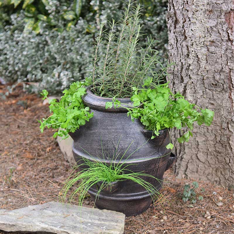 Roto květináč Petrželník, bronzově hnědá