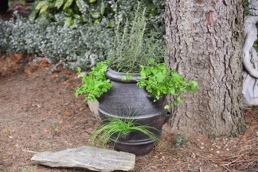 Roto květináč Petrželník, bronzově hnědá