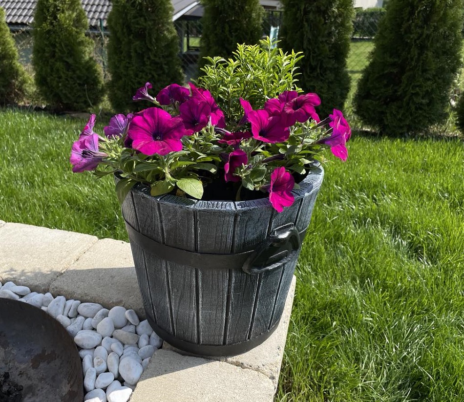 Roto Květináč Polka S, imitace šedého dřeva