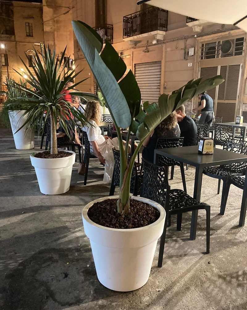 Prosperplast Květináč LEXO ROUND bílý 60 cm