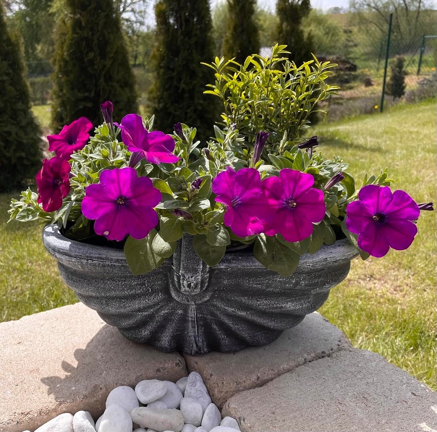 Roto Květináč KOŠÍK, šedý