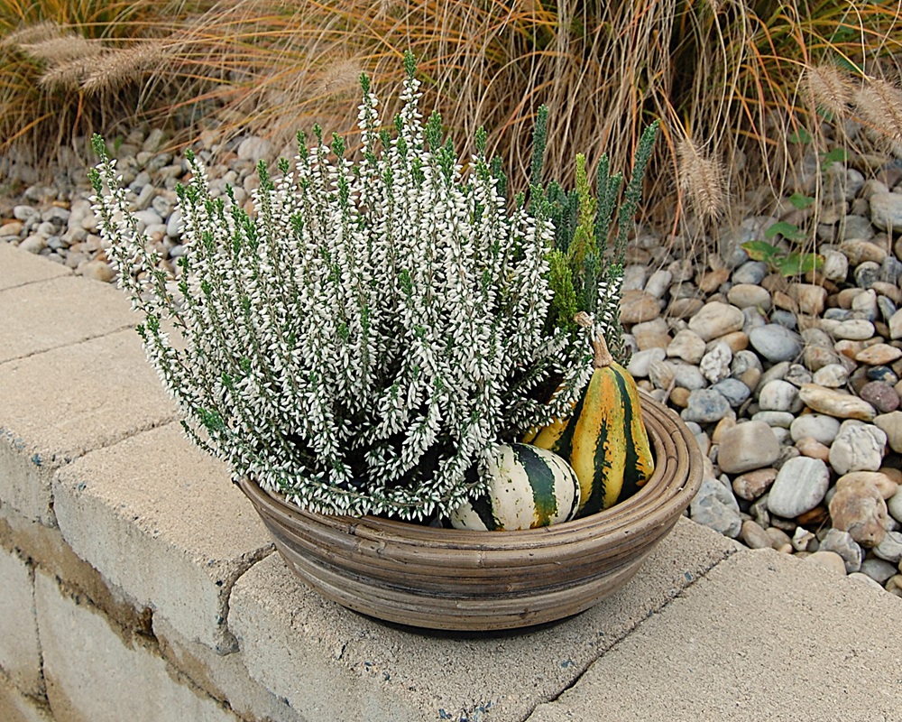 RATANOVÝ Květináč DRYPOT STREEP, 30x12 cm