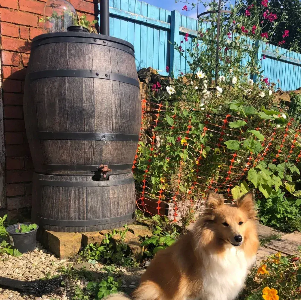 ROTO Sud na dešťovou vodu 350 L, imitace hnědého dřeva 