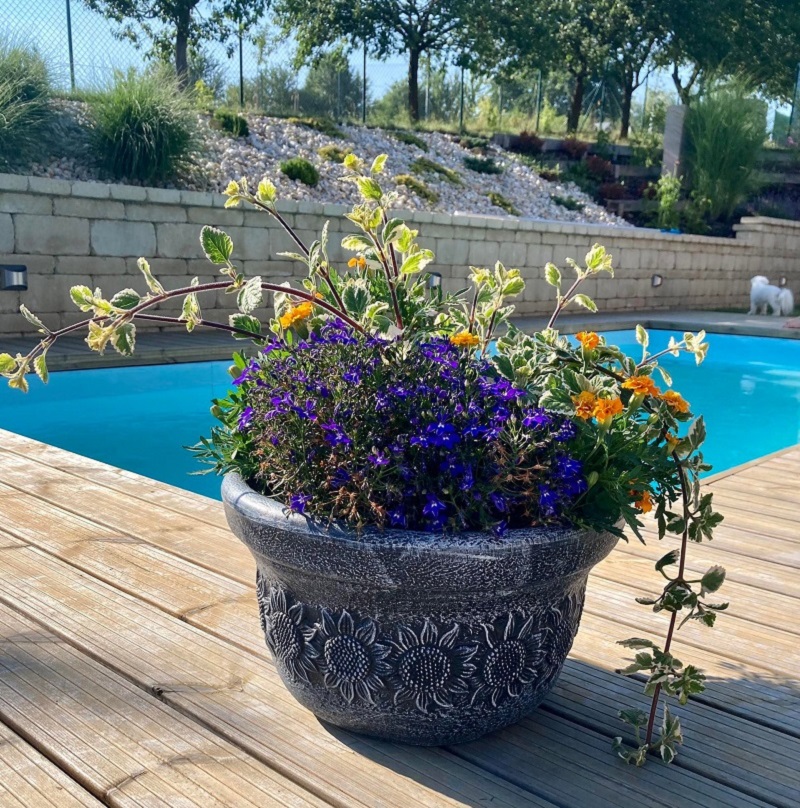 Roto Květináč PLANIKA KRUH S, šedá