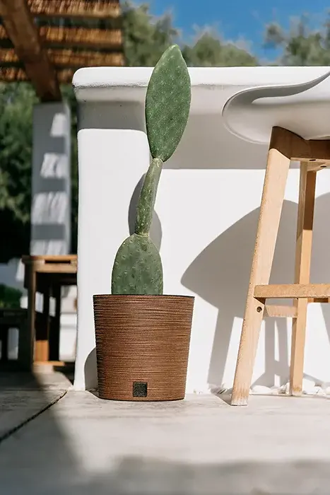 Květináč FURU ROUND LOW ECO WOOD 30cm, světle hnědý