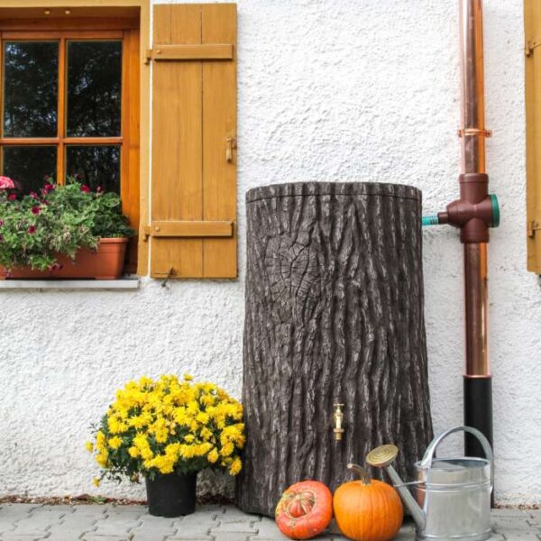 Prosperplast Sud na dešťovou vodu pařez LITTLE TREE umbra 250l