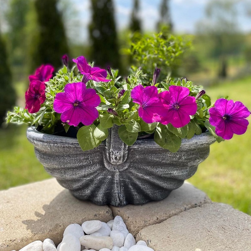 Roto Květináč KOŠÍK, šedý