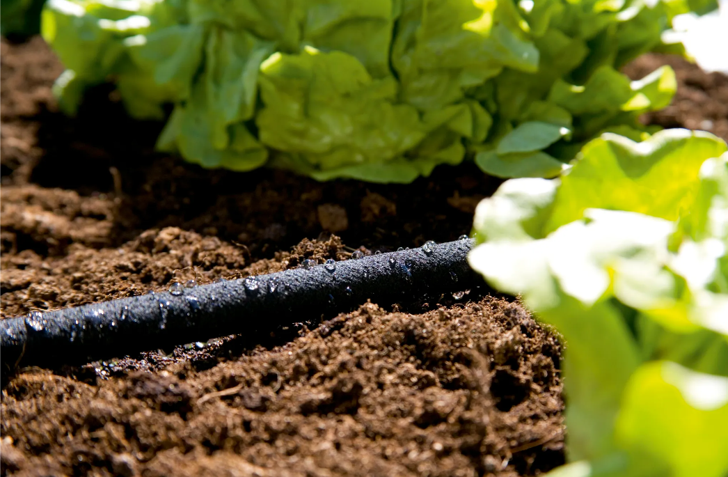 Bradas Zahradní hadice Aqua-Drop - průsaková zavlažovací  1/2" - 30m