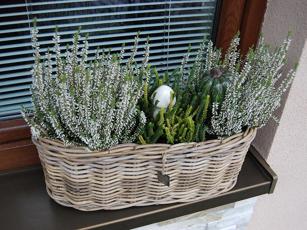 RATANOVÝ truhlík ELIPSA CLASIC, Grey, 50x20x20 cm