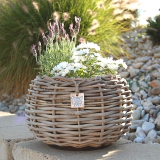 RATANOVÝ Květináč DRYPOT TINA small, Ø29x19cm 