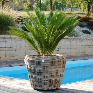 RATANOVÝ Květináč DRYPOT Grey, L Ø54 x 41cm  